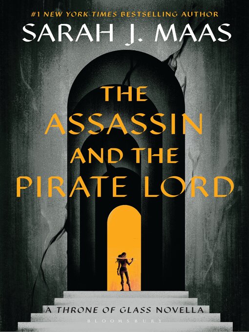 Cover Image of The assassin and the pirate lord