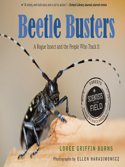 Cover image for Beetle Busters