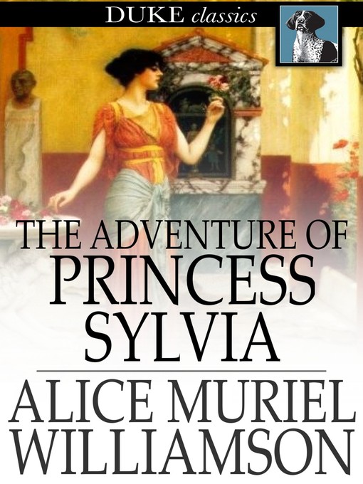 Book cover of The adventure of princess sylvia.