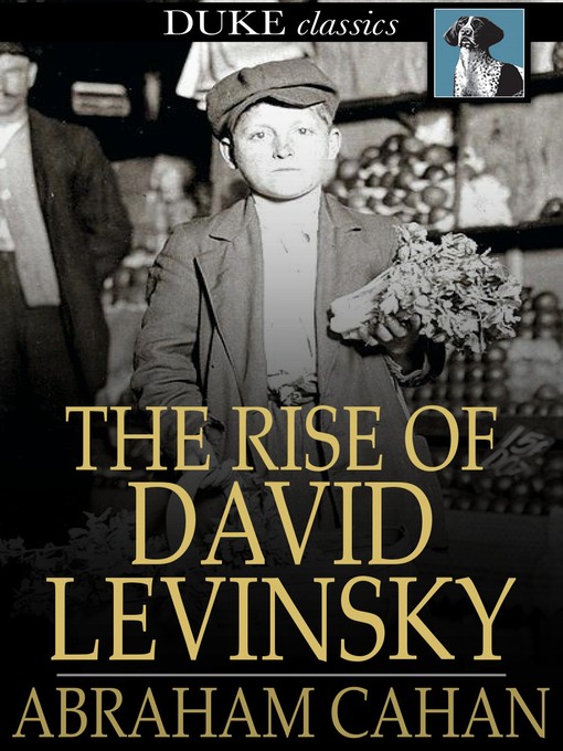 Book cover of The rise of david levinsky.