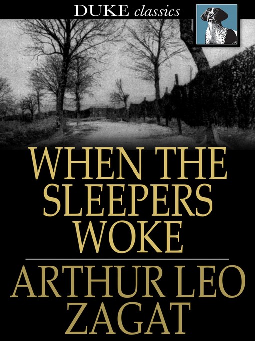 Book cover of When the sleepers woke.