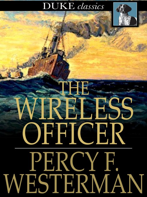 Book cover of The wireless officer.