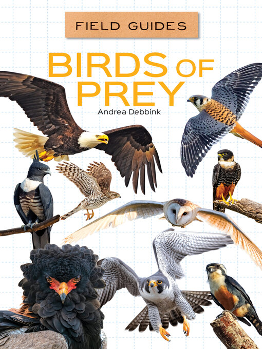 Birds of Prey - Pikes Peak Library District - OverDrive
