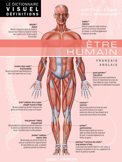 Le Dictionnaire Visuel Definitions 4 Etre Humain Etre Humain Brooklyn Public Library