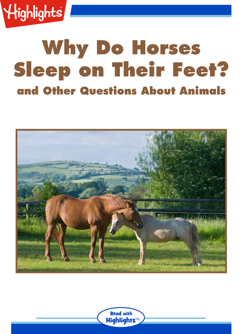 Why Do Horses Sleep on Their Feet? and Other Questions About Animals - Israel Digital Why Do Horses Sleep on Their Feet? and Other Questions About Animals - Israel Digital