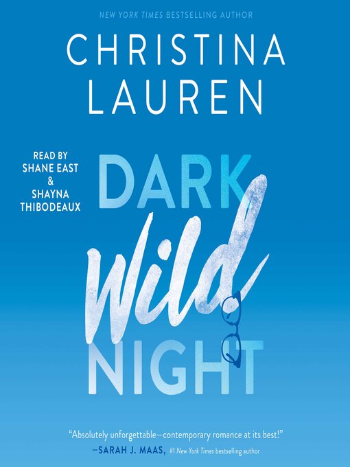 dark wild night by christina lauren