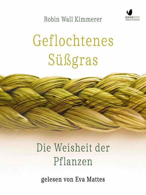 Geflochtenes süßgras. die weisheit der pflanzen
