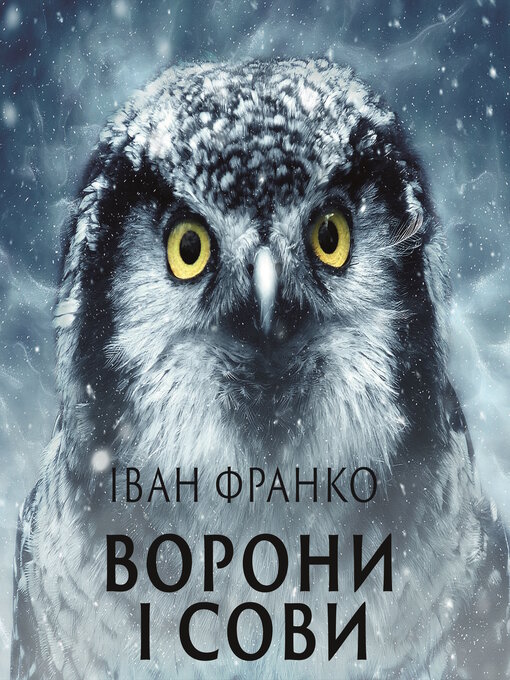 Ворони І Сови