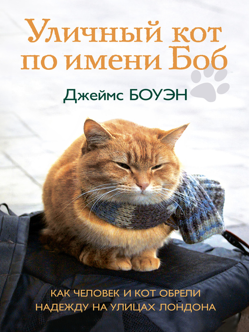 Уличный кот по имени боб. как человек и кот обрели надежду на улицах лондона