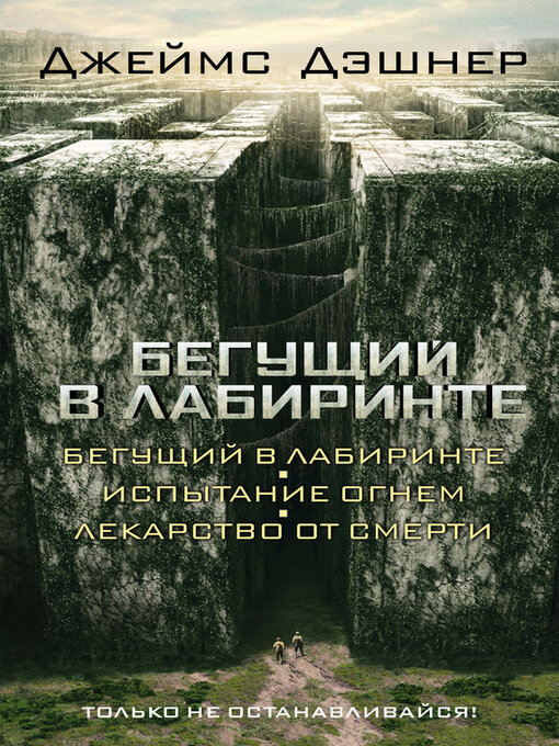 Epub бегущий в лабиринте