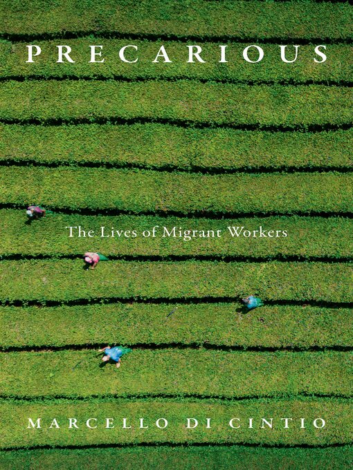 Cover Image of Precarious