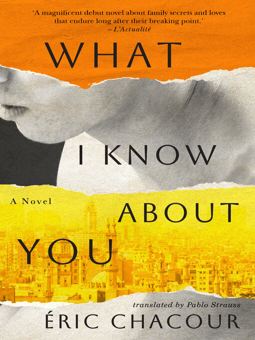 Cover of the book What I Know About You