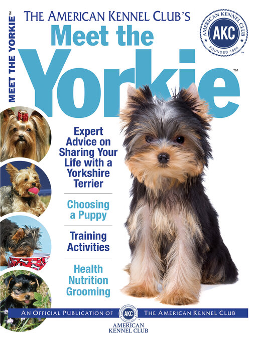 how do you discipline a yorkshire terrier