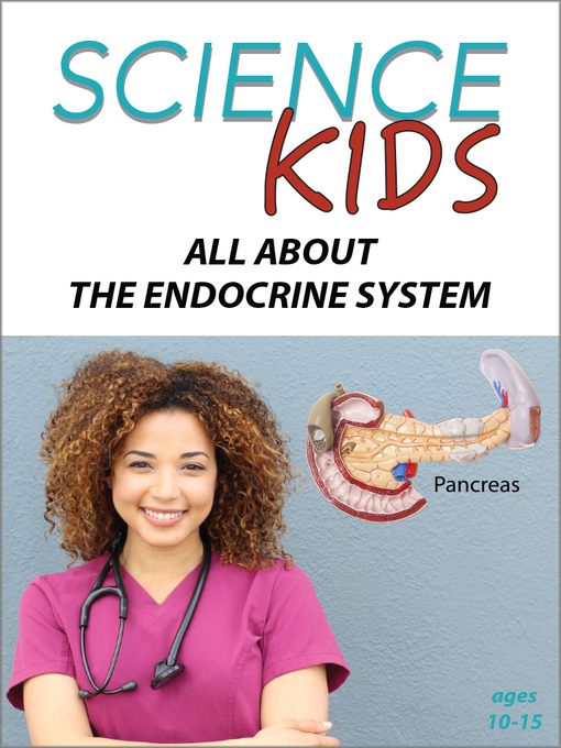 endocrine system function for kids