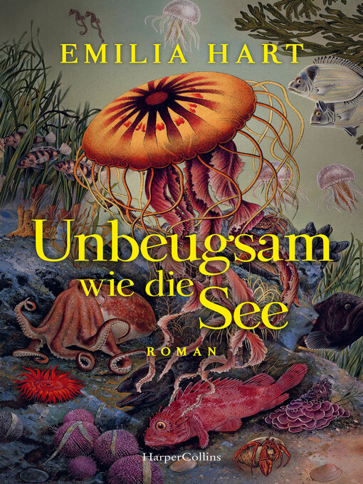Cover des Mediums