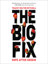 The Big Fix The Big Fix