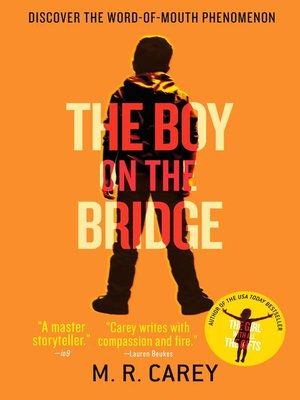 The cover of the book, 'The Boy on the Bridge.'