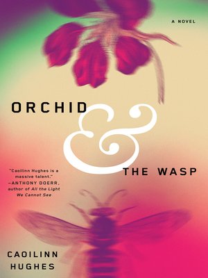 Orchid & the wasp