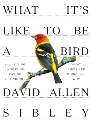 What It's Like to be a Bird Book Cover