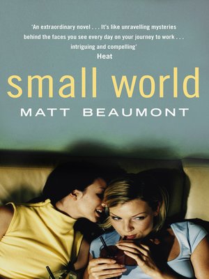 Review: 'Small World,' by Laura Zigman - The New York Times