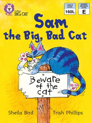 Collins Big Cat – the See-saw by Paul Shipton · OverDrive: ebooks,  audiobooks, and more for libraries and schools