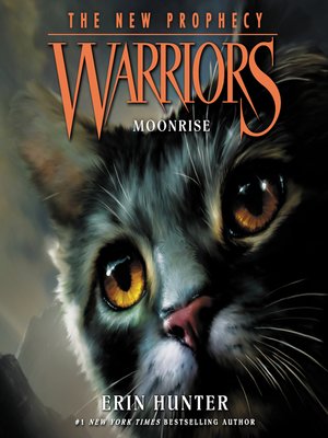 Sunset (Warriors: The New Prophecy Series #6) by Erin Hunter, Dave  Stevenson, Paperback