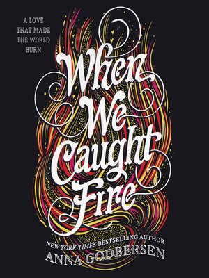 Cover image for When We Caught Fire