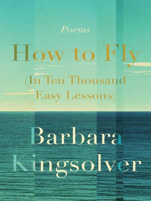How to fly (in ten thousand easy lessons) 