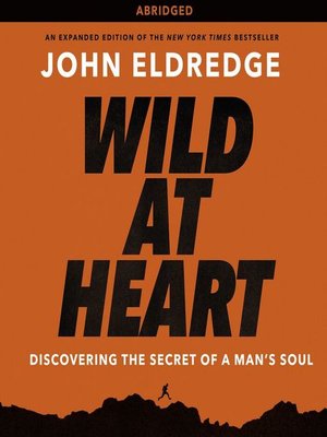 book review on wild at heart