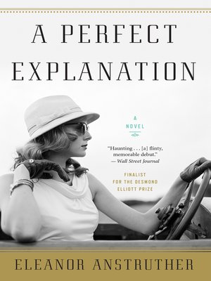 A Perfect Explanation Book Cover