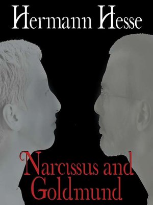 Hermann hesse picture