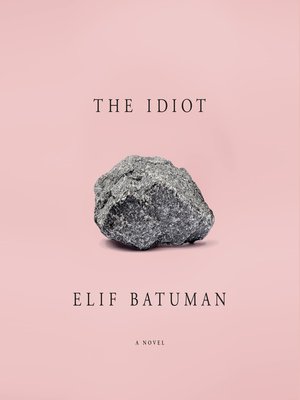 books like the idiot elif batuman