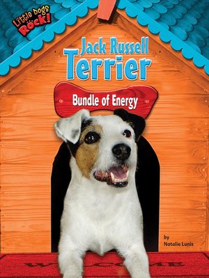 Jack Russell Terrier By Natalie Lunis Overdrive Rakuten