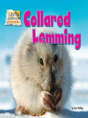 Collared Lemming - Bearport Publishing