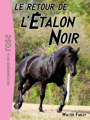 Walter Farley Une cavalière pour l'étalon noir 3089654 