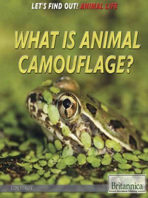 What Is Animal Camouflage? by Erin Staley · OverDrive: ebooks ...