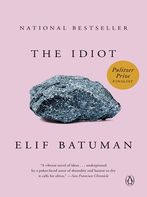 the idiot elif batuman sparknotes the idiot elif batuman sparknotes