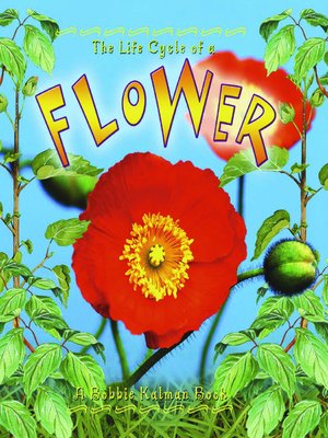 The Life Cycle of a Flower by Molly Aloian · OverDrive: ebooks ...