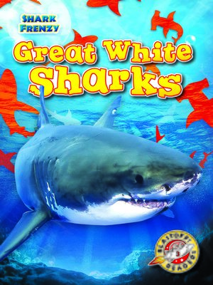 Great White Sharks