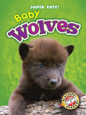 Baby Wolves By Bethany Olson Overdrive Rakuten Overdrive