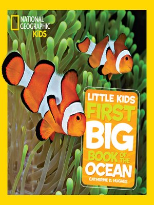 Little Kids First Big Book of the Ocean by Catherine D. Hughes ...