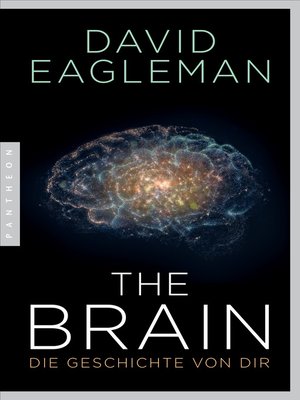 The Brain by David Eagleman