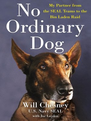 No ordinary dog