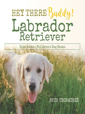 Hey There Buddy!--Labrador Retriever Kids Books--Children's Dog Books ...