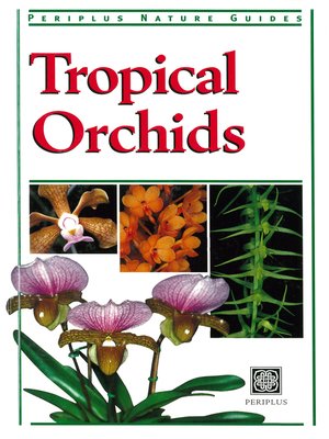 Tropical Orchids Of Southeast Asia By David P Banks - 