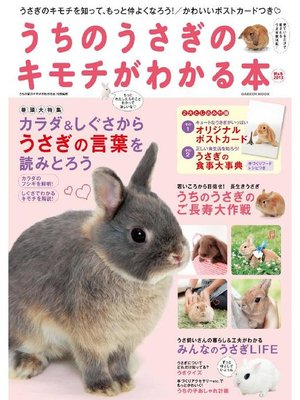 ユニーク冬 うさぎ 最高の動物画像