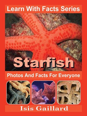 12 Surprising Facts About Starfish