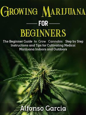 How to Grow Cannabis: A Step-By-Step Beginners Guide to Growing