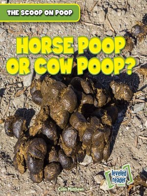 how to train a horse to poop in one spot